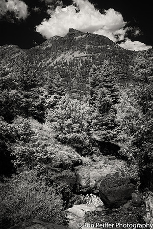 IMG_2887-Edit-Edit