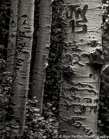 IMG_1580-Edit