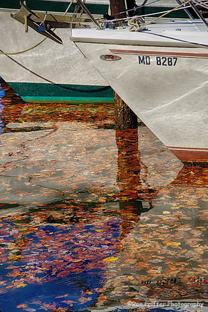 Fall at the Marina