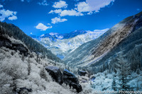 Bear Creek Vista