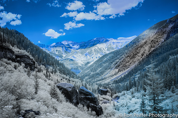 Bear Creek Vista