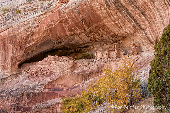 Monarch Cave_Color 931