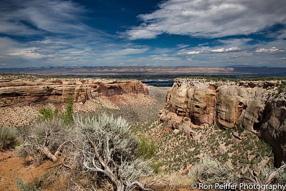IMG_1423-Edit