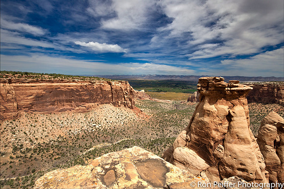 CNM Canyon View M