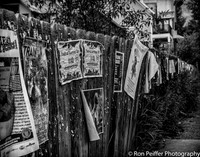IMG_1775-Edit