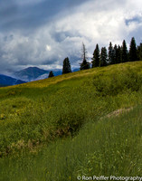 IMG_1636-Edit