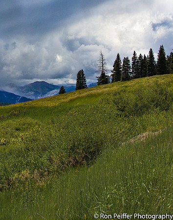 IMG_1636-Edit