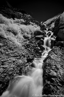 IMG_1334