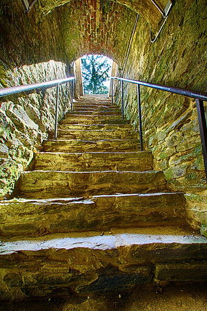 Into the Cold Cellar