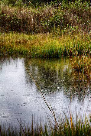 IMG_1299_HDR