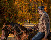 Wye Island Dirt Road