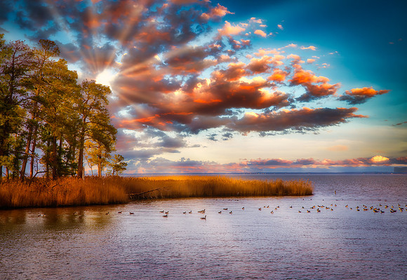 Chesapeake Sunset