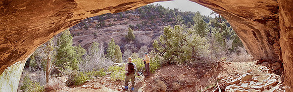 The Alcove