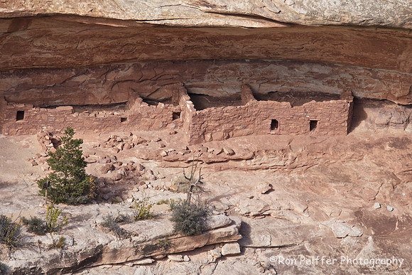 Horse Collar Ruins