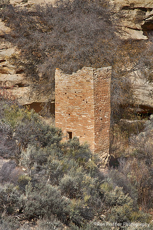 Hovenweep Tower