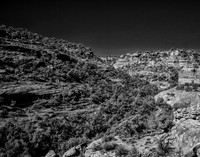 FallenRoof0317-4