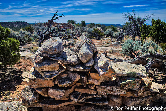 CoyoteFlats17-3