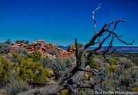 CoyoteFlats17-9