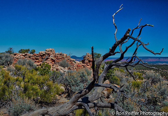 CoyoteFlats17-9