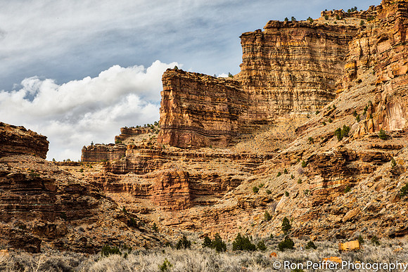 NineMile Canyon17RP-3