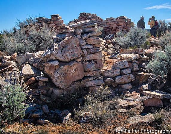 CoyoteFlats17-6