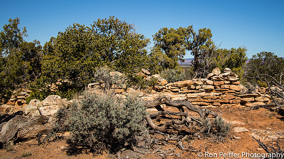 CoyoteFlats17-2