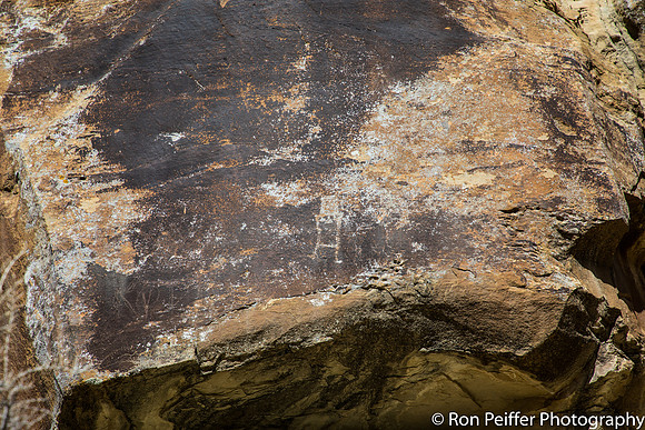 NineMile Canyon17RP-36