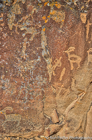 NineMile Canyon17RP-40