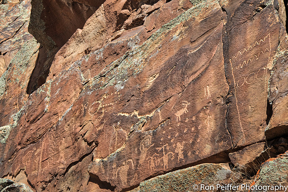 NineMile Canyon17RP-41
