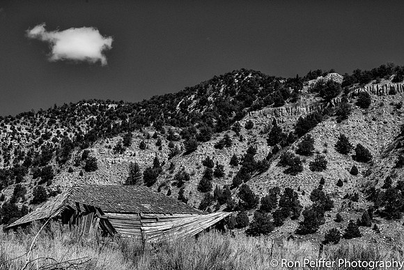NineMile Canyon17RP-45