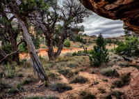 StepCanyon17-13