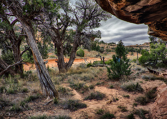 StepCanyon17-13