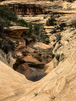 StepCanyon17-6