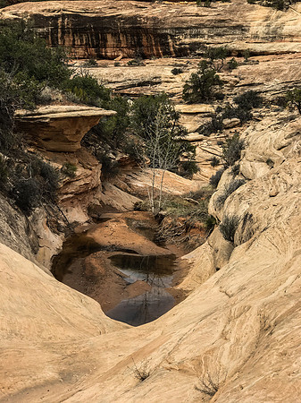 StepCanyon17-6