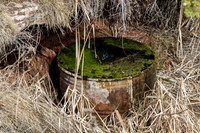 LimeCan0317-11