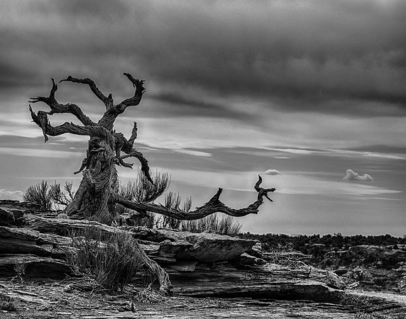 LimeCan0317-2