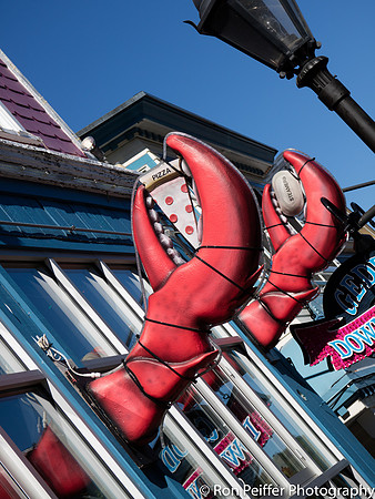 Lobster Monsters