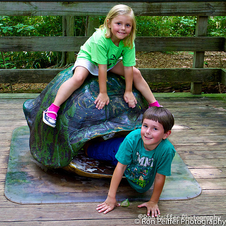 Turtle