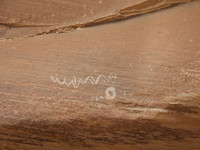 Snake or Water Symbol