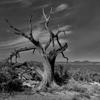 West landscapes