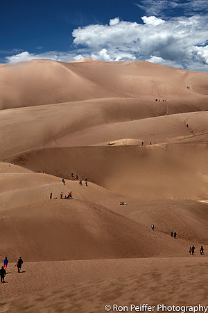 Dunes M1