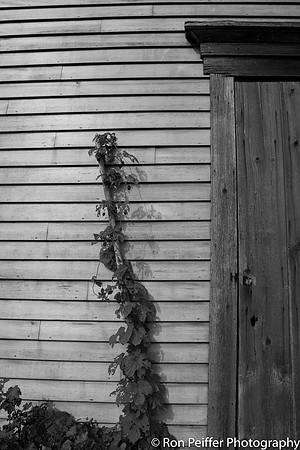 Maine0916-9-2