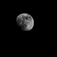 IMG_4030
