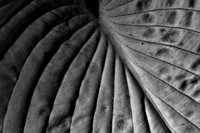 _DSC5369 (1)
