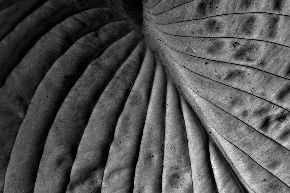 _DSC5369 (1)