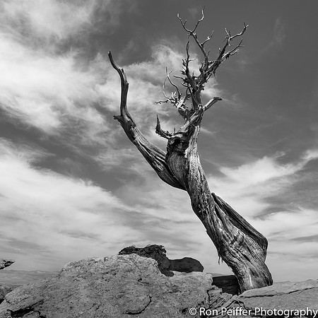 IMG_1679-Edit-Edit