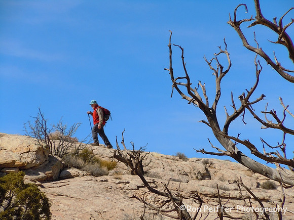 Climbing the Comb
