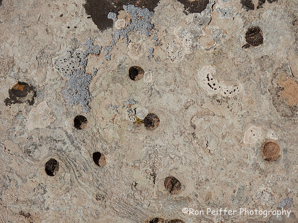 Textures I