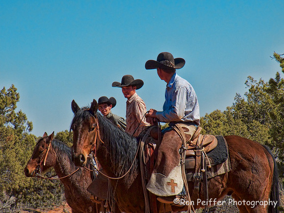 Rounding up the Bulls