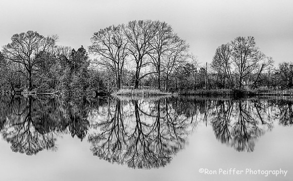 Wye Island Cove (b/w)